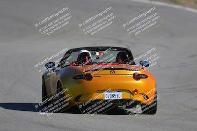 media/Nov-19-2023-Extreme Speed (Sun) [[bd0eec5490]]/Purple/Back Shots/